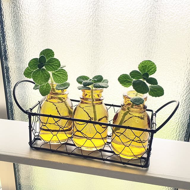 cloverさんの実例写真