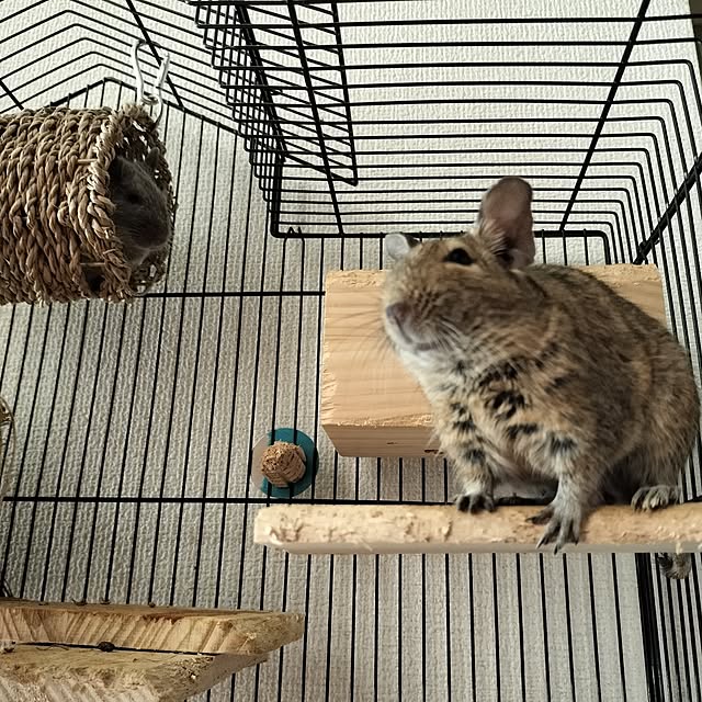 minmiさんの部屋