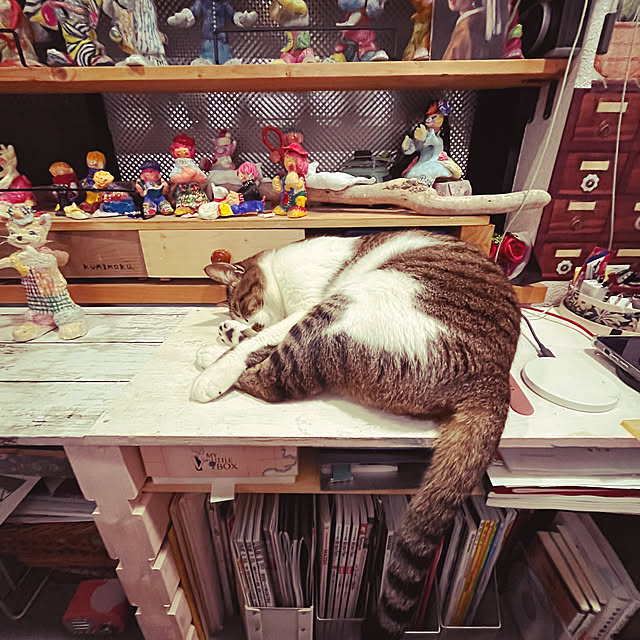 jijiさんの部屋