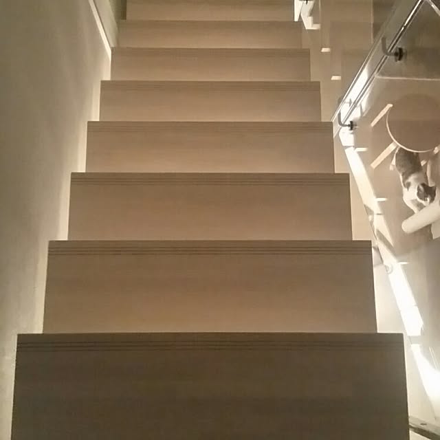 runayucoさんの実例写真