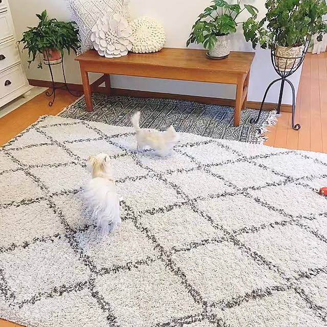 marrococoさんの実例写真