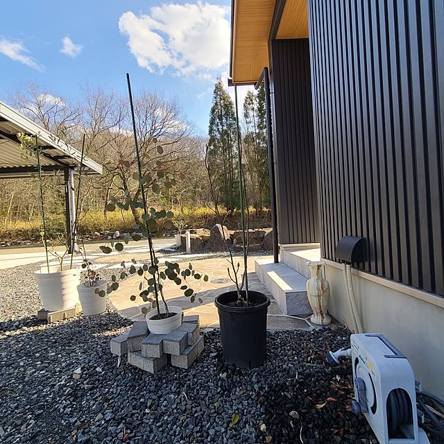 Rubiconさんの部屋