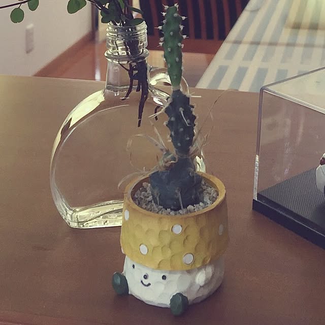 Enjuさんの実例写真