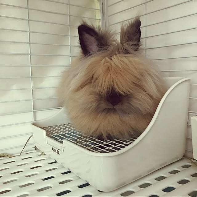 mさんの実例写真