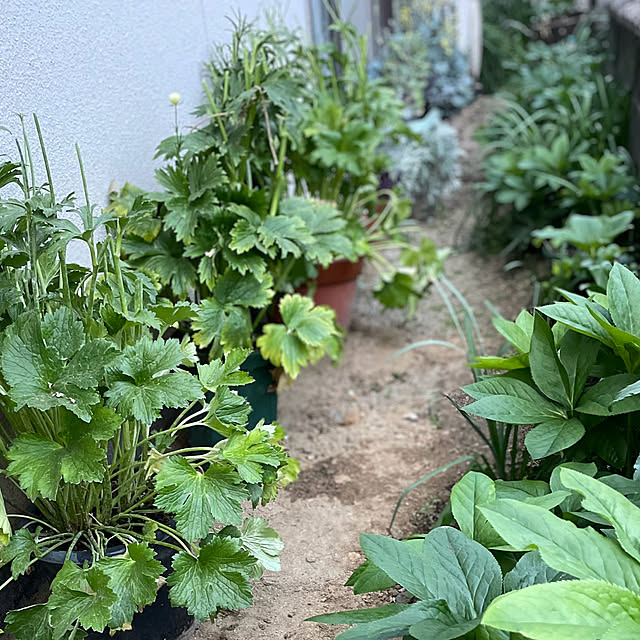 buchiさんの部屋