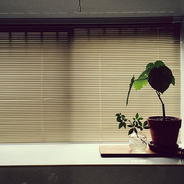 akiさんの実例写真