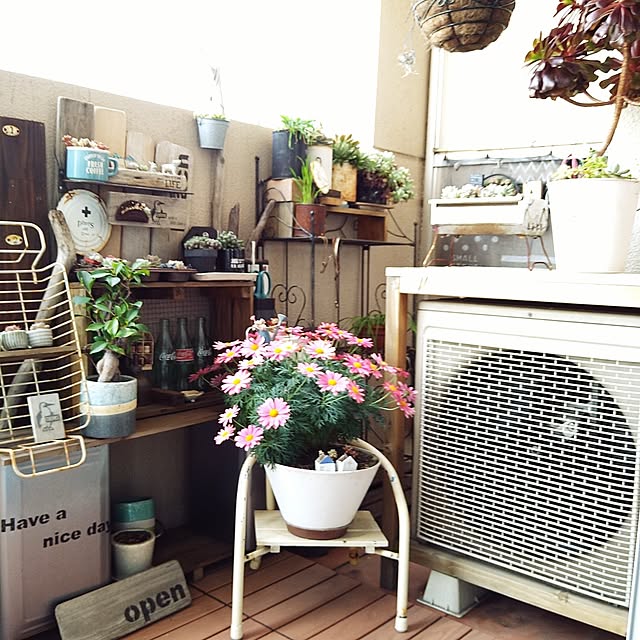 sakusakuさんの部屋