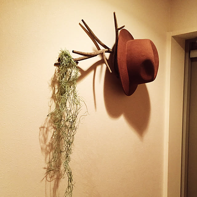 na-naさんの実例写真