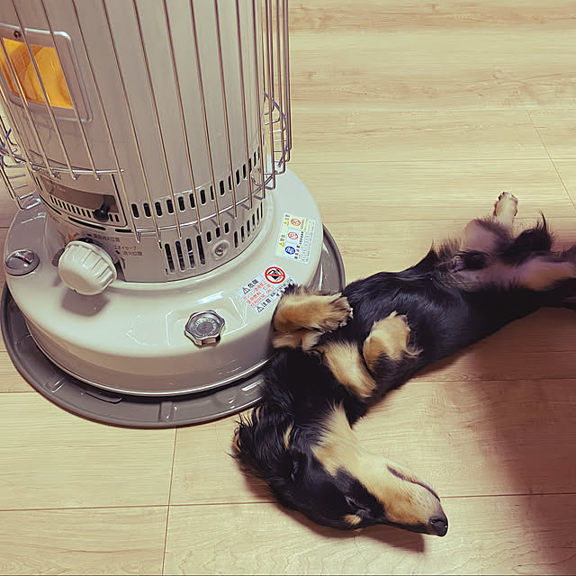 uninekoさんの実例写真