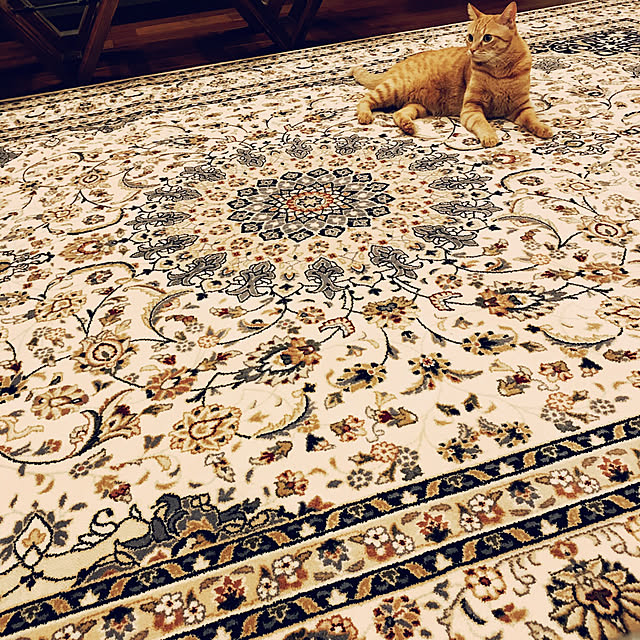 kanaaaaxxxxさんの実例写真