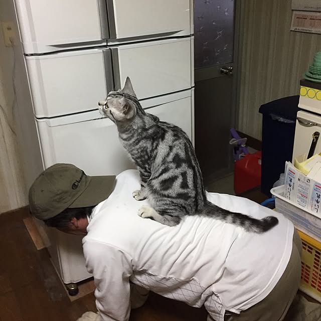 tanutanさんの実例写真