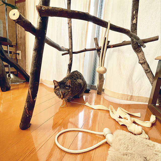 Mさんの実例写真