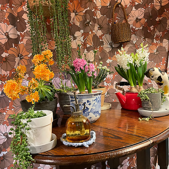 shin0719さんの実例写真