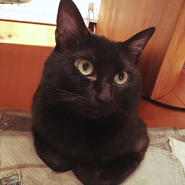 pitaさんの実例写真