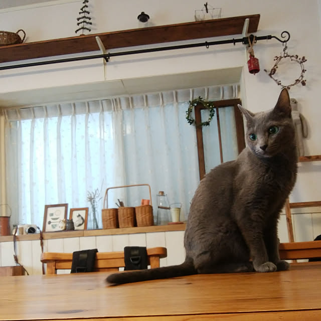 tomo1220さんの実例写真