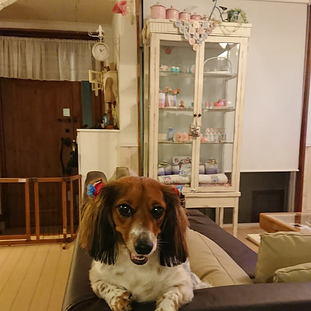 rena.kaito3127さんの実例写真