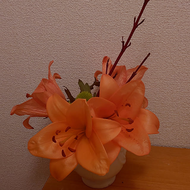 yokoさんの実例写真