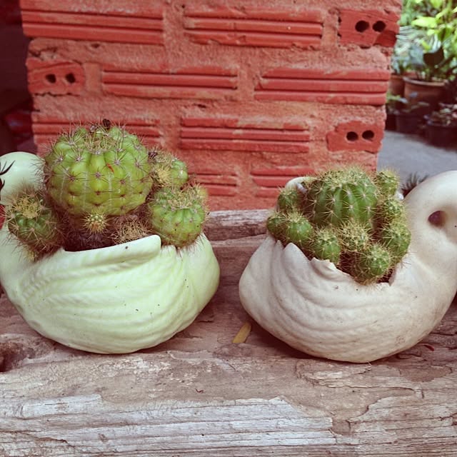 Ployさんの実例写真