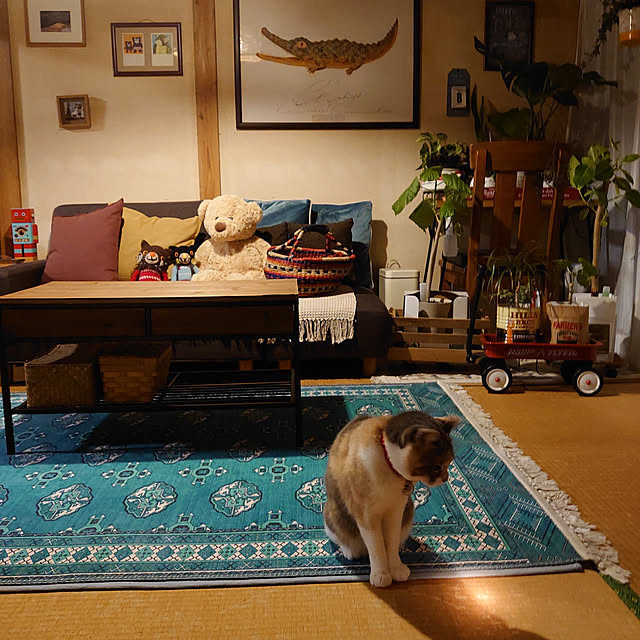 fukuさんの実例写真