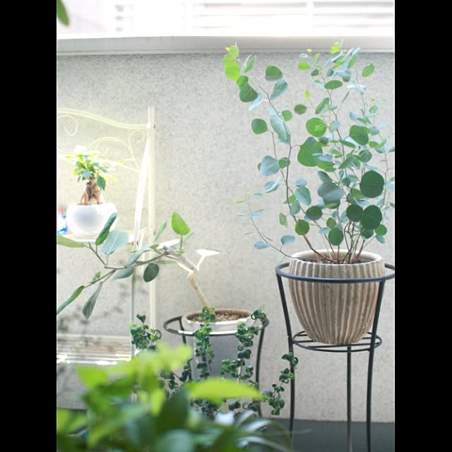 koenyokoさんの実例写真