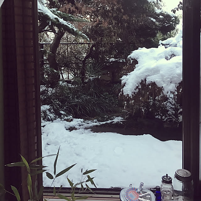 neko-2.2.2runmuさんの実例写真