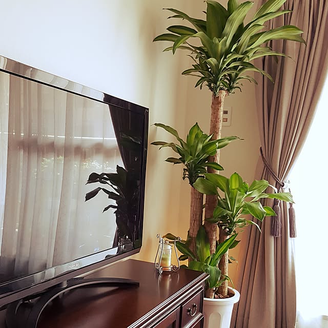 Natashyaさんの実例写真