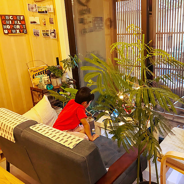 aki_wrappinさんの実例写真