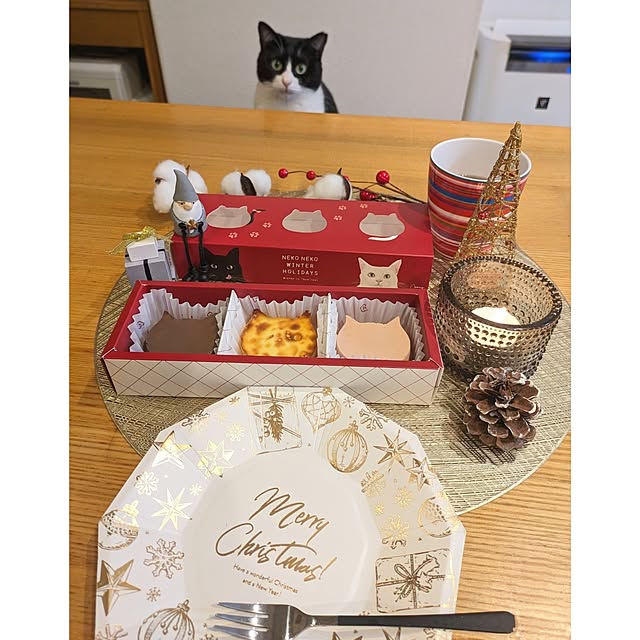 hihaさんの実例写真