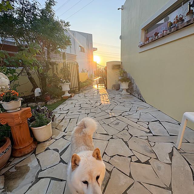 bu-bu-chanさんの部屋