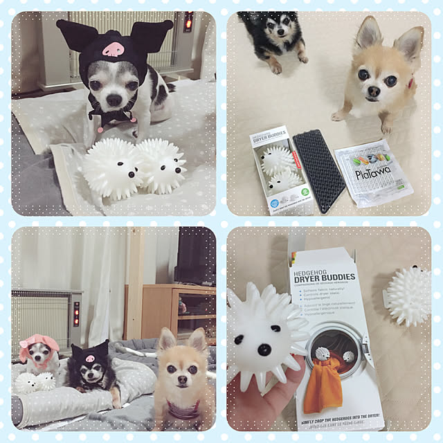 Emiさんの実例写真
