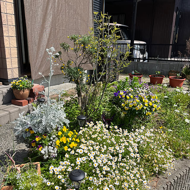 ritsukoさんの部屋