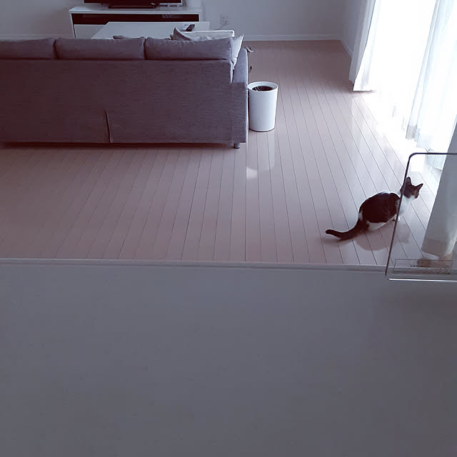 saosanさんの実例写真