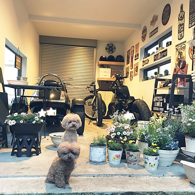noririnさんの実例写真