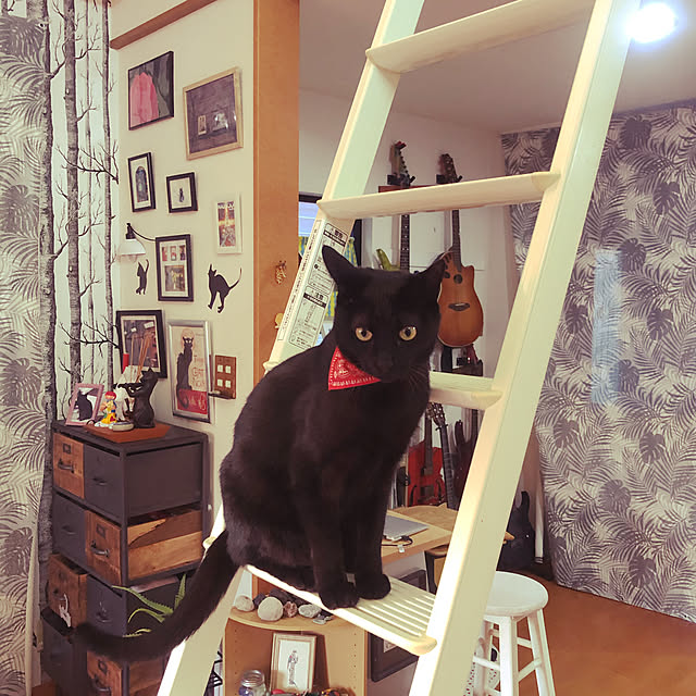 jijiさんの実例写真