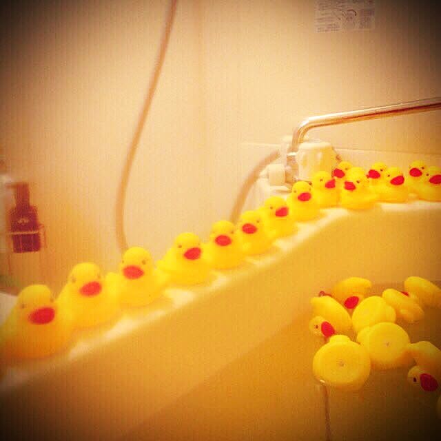 daiki_eeさんの実例写真