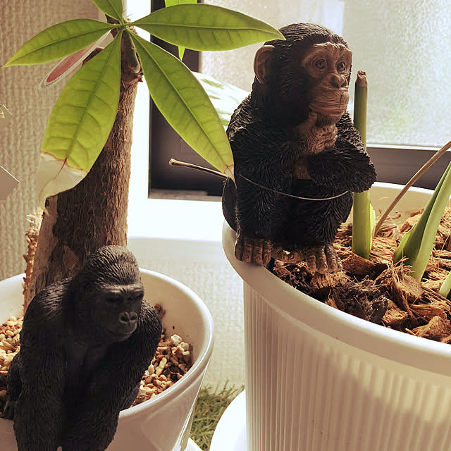 RIRIさんの実例写真
