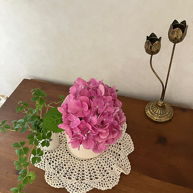 kakamiさんの部屋