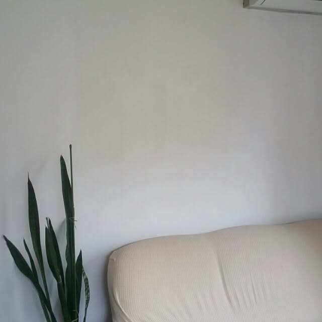 mokamokaさんの実例写真
