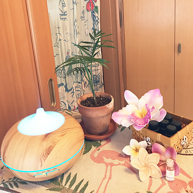 ariceさんの実例写真