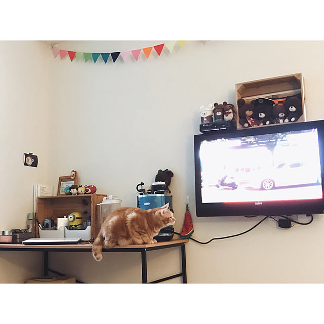 Meowdiさんの実例写真