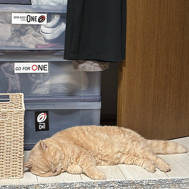 naokoさんの部屋