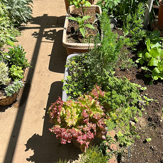 botanさんの部屋
