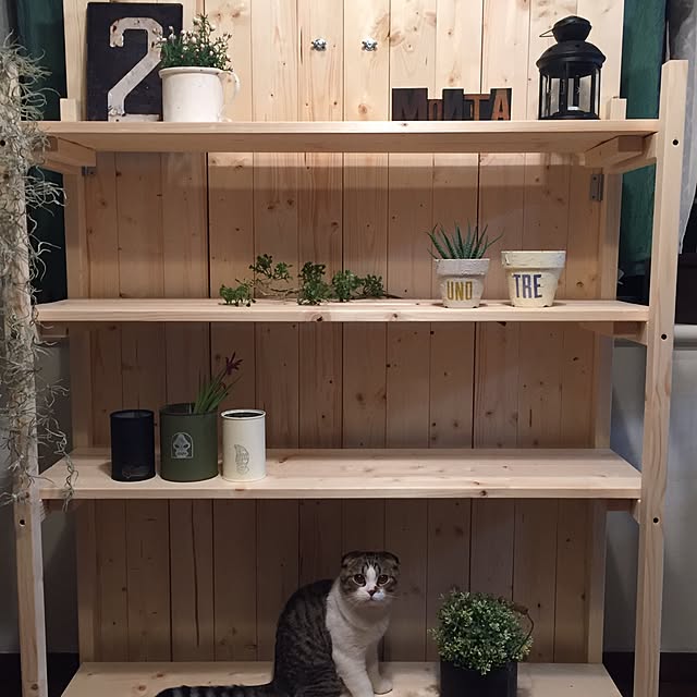 montaさんの実例写真