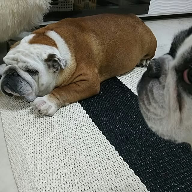 AandPさんの実例写真