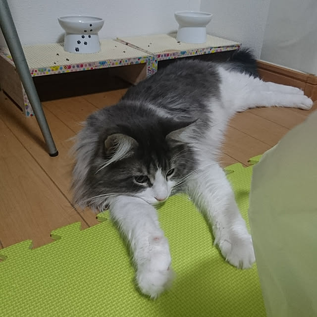 shinobuさんの実例写真