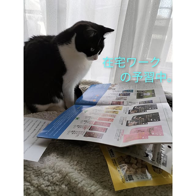 hihaさんの部屋