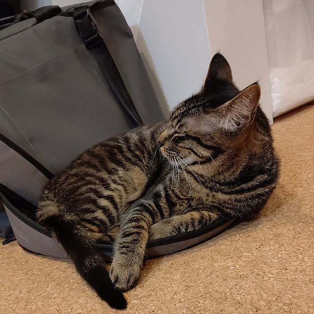 hihaさんの実例写真