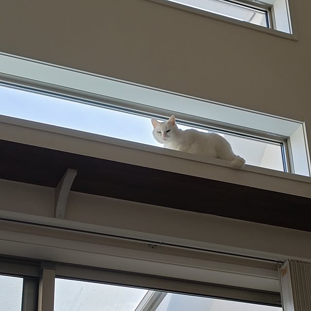 arisaさんの部屋