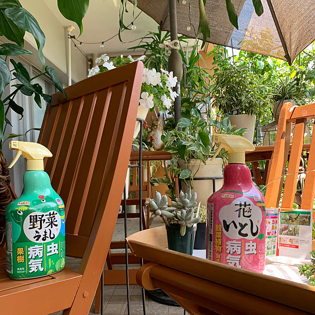 Aqettyさんの部屋