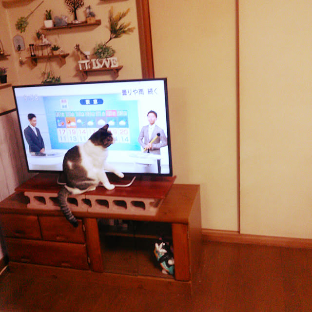 Tomopさんの実例写真